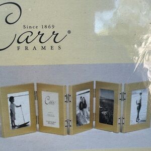 Carr Frames Brushed Gold 5 Hinged Picture Frames